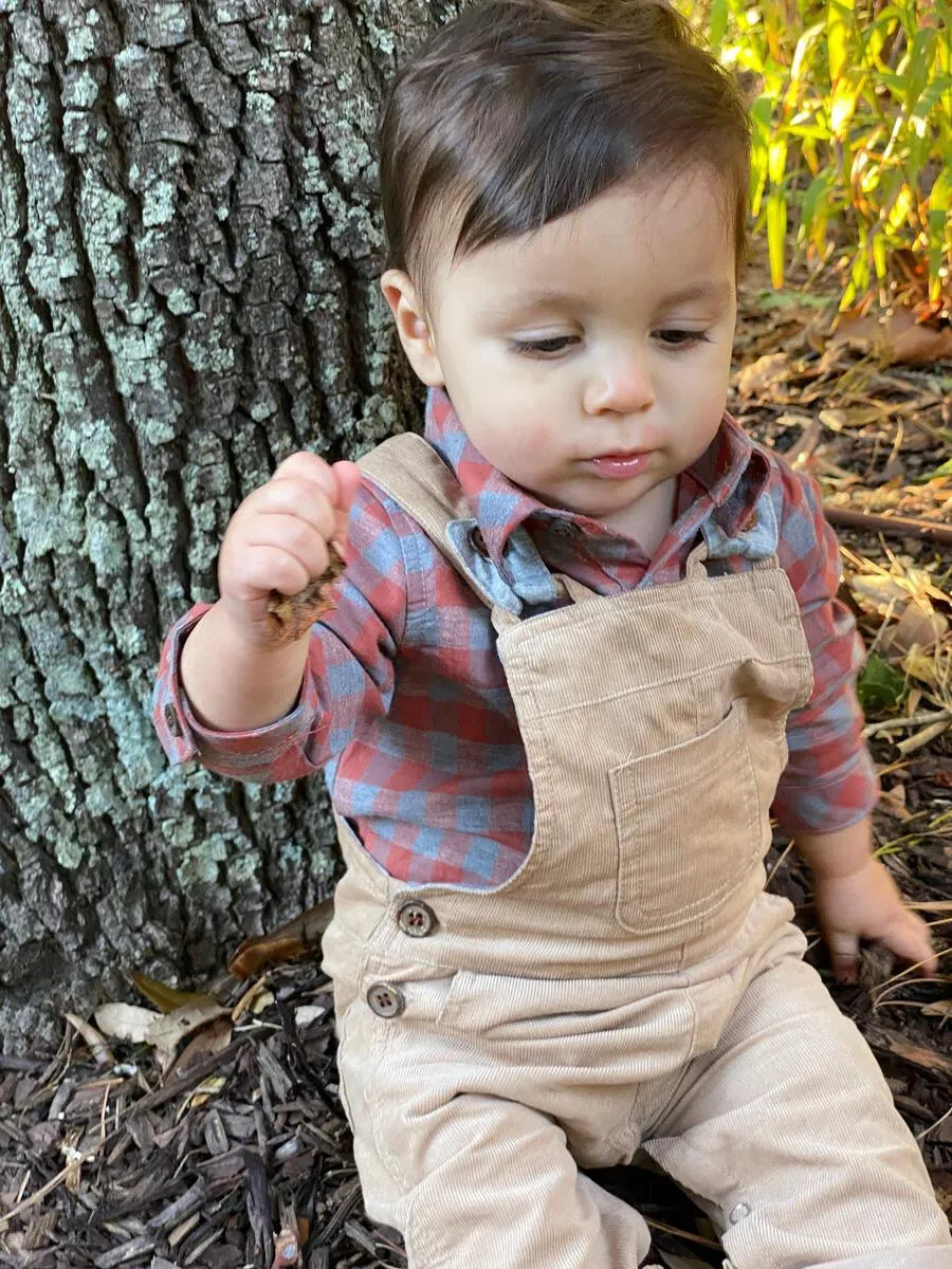 Corduroy Cotton Overalls | Jellico Stone | Me and Henry