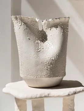 Double Flute Vase White Lichen